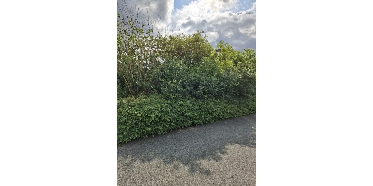 Großes Grundstück in Lügde zimmer