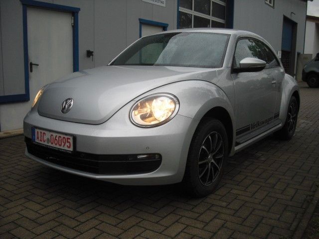 Beetle