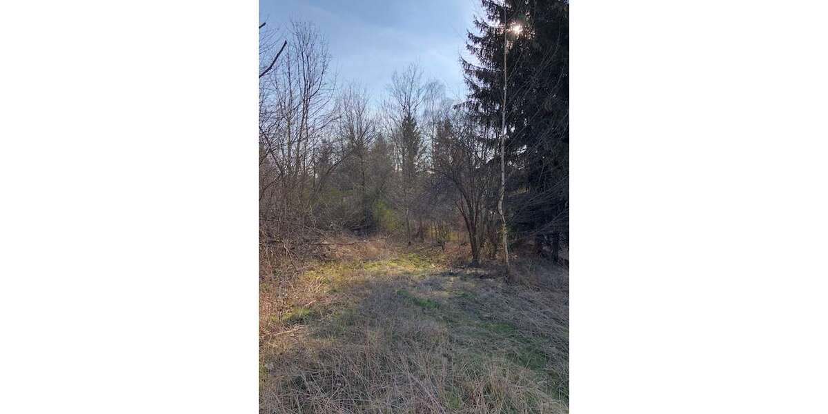 Grundstück Gößnitz - 19.900&euro; | Angebot:22225461