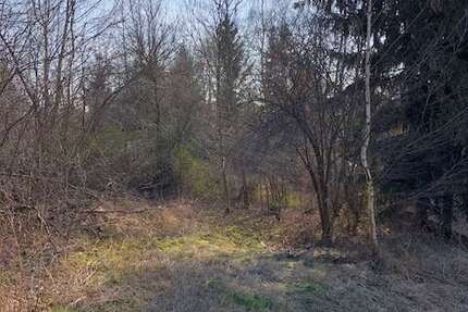 Grundstück zu verkaufen in Gößnitz 25.000 € 798 m² zimmer