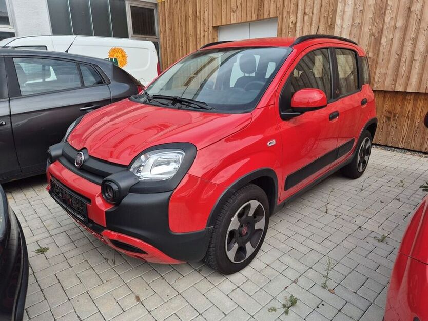 Panda