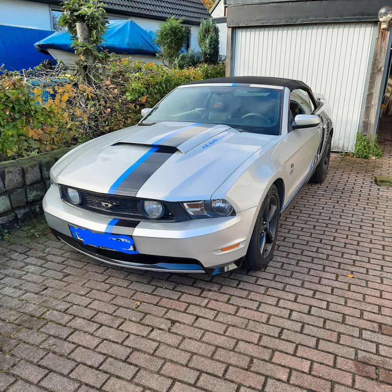 Mustang