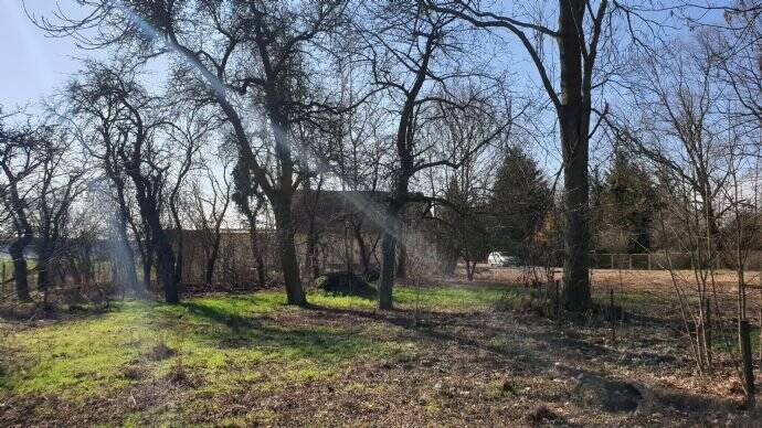 Grundstück Calau Groß Jehser - 25.000&euro; | Angebot:25702875