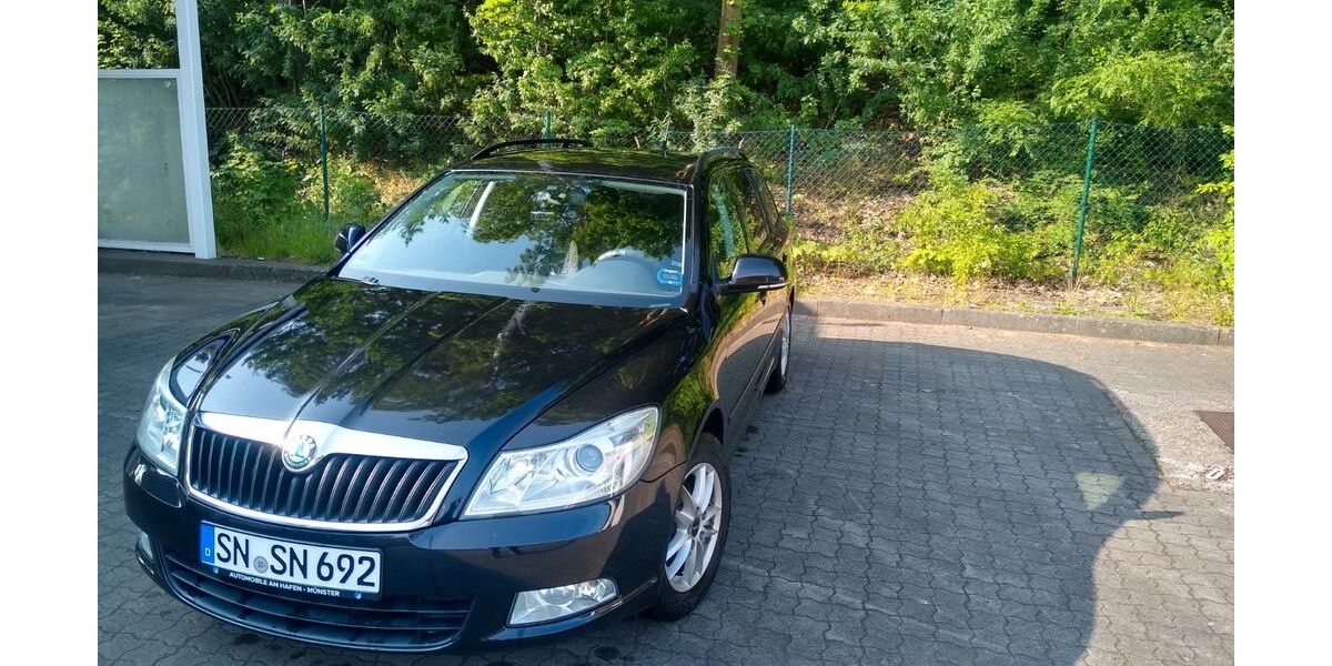 Skoda Octavia 309.000 km 3.500 &euro; Schwerin 19063