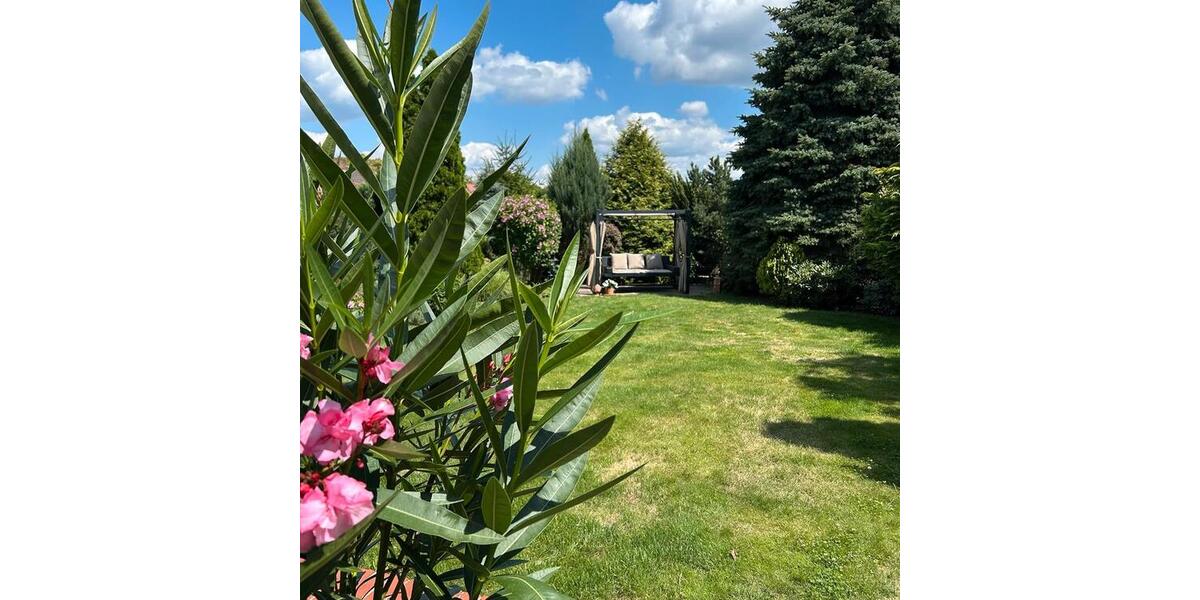 Doppelhaushälfte Bitterfeld-Wolfen Wolfen - 4 Zimmer, 88 m&sup2;, 223.000&euro; | Angebot:25081065