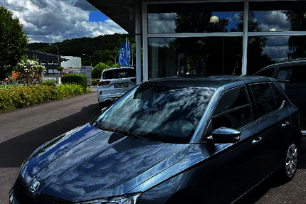 Skoda Fabia 15.092 km 11.890 &euro; Nister 57645