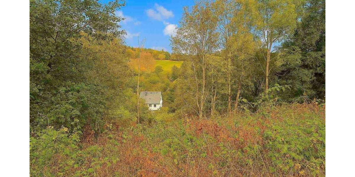 Grundstück Winterberg Silbach - 55.000&euro; | Angebot:25390171