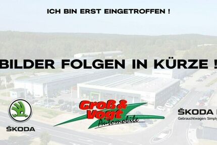 Skoda Octavia 42.507 km 36.900 &euro; Schneeberg 08289