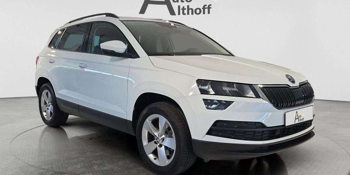 Skoda Karoq 101.500 km 22.280 &euro; Stuttgart 70195