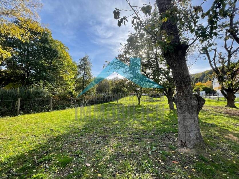 Baugrundstück für 6 Doppelhaushälften mit zwei Vollgeschossen! zimmer