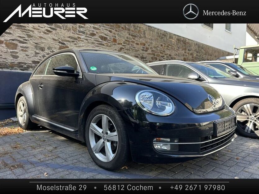 Beetle