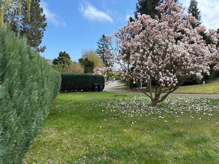 Dez-Juli möbl. Haus mit gr. Garten Sierksdorf Strand 350m