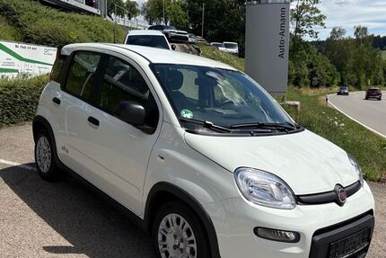 Fiat Panda 6.000 km 12.995 &euro; Bonndorf-Wellendingen 79848