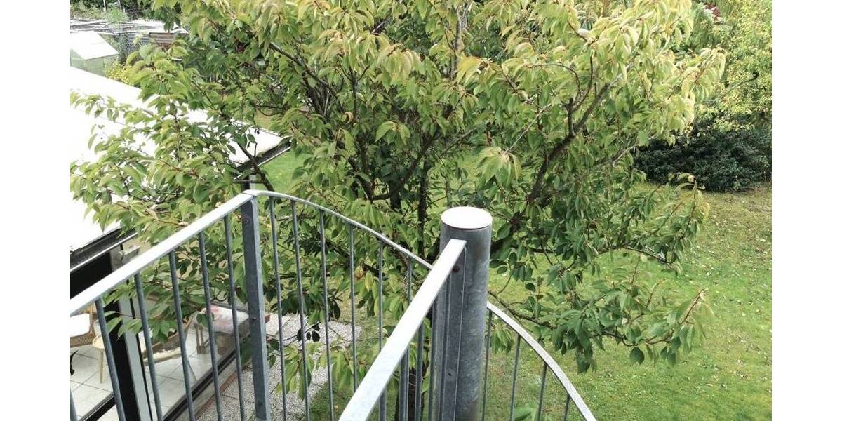 Mehrfamilienhaus, Wohnhaus Zeven - 1 Zimmer, 335 m&sup2;, 399.999&euro; | Angebot:25776371