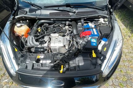 Ford Fiesta 109.500 km 5.500 &euro; Hanau 63450