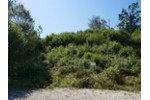 INVESTOREN: BAU EINES MEHRFAMILIENHAUS ODER 2 DHH - Grundstück Regenstauf | Angebot:27233843