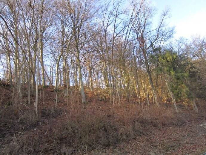 Grundstück Widdern - 25.000&euro; | Angebot:25700084