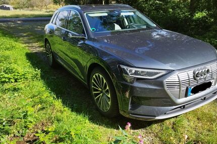 Audi e-tron 113.400 km 29.900 &euro; Lahr 77933
