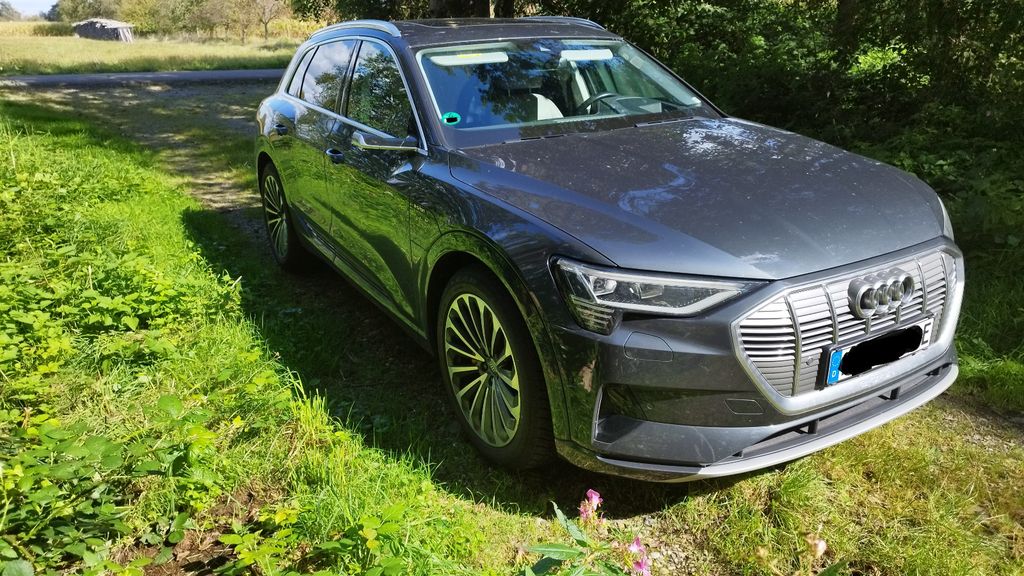Audi e-tron 113.400 km 29.900 &euro; Lahr 77933