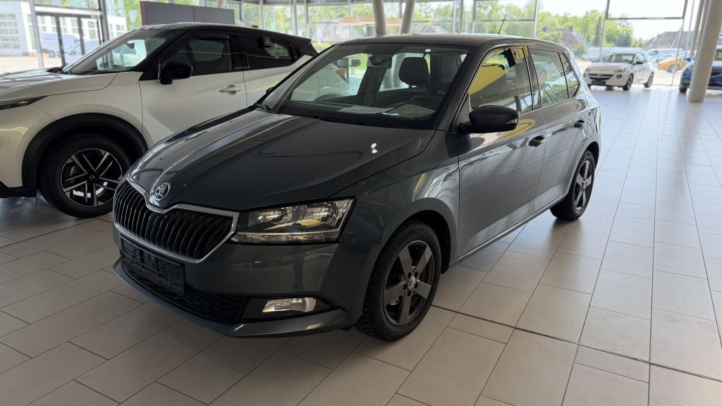 Skoda Fabia 67.558 km 8.490 &euro; Wilhelmshaven 26389
