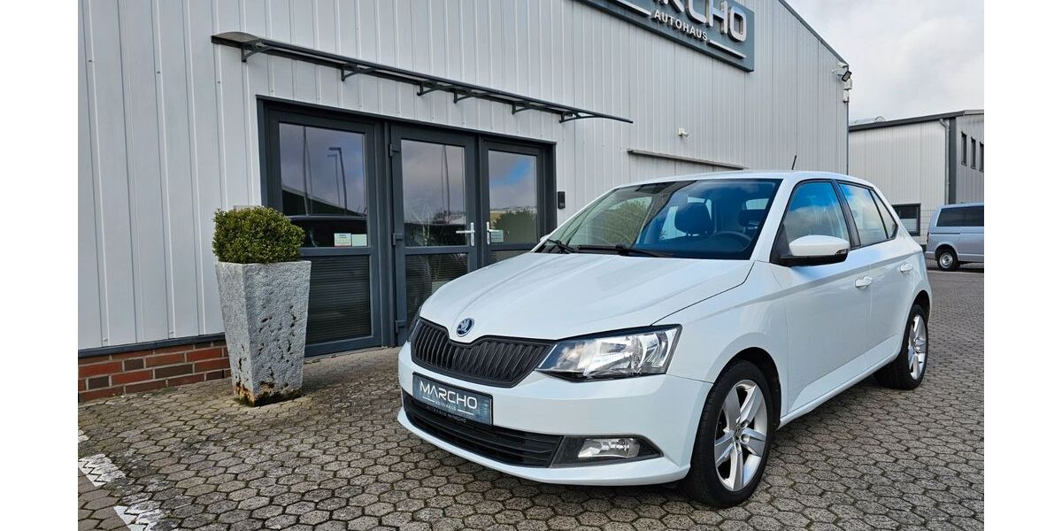Skoda Fabia 249.321 km 3.950 &euro; Wardenburg 26203