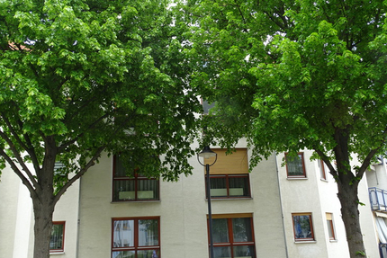 Toll gelegene 3-Raum Eigentumswohnung in Weinböhla 3 zimmer