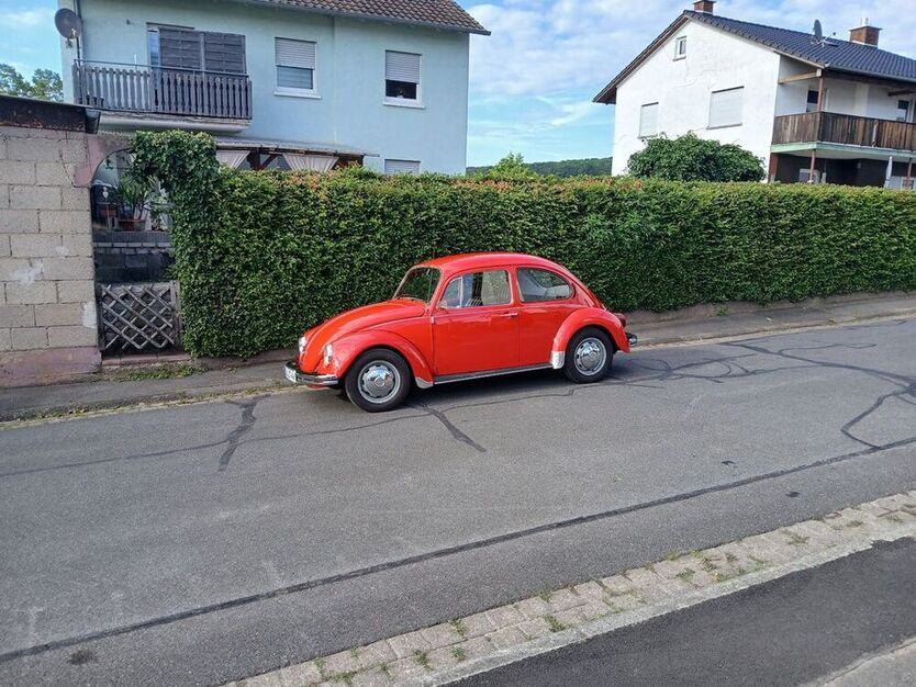 Käfer