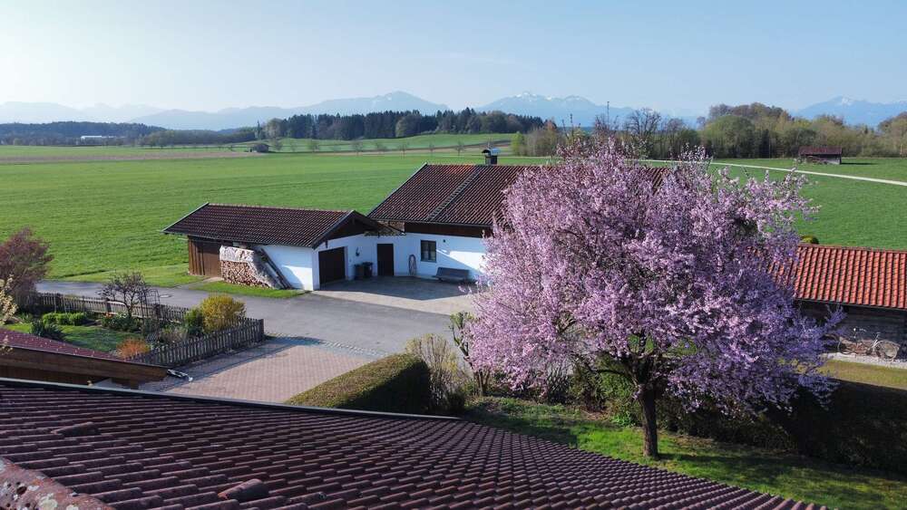 Einfamilienhaus Nußdorf - 6 Zimmer, 180 m&sup2;, 890.000&euro; | Angebot:26901674