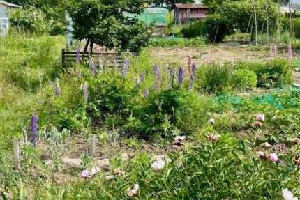 Grundstück zu verkaufen in Frankfurt am Main 9.995 € 129 m² - Grundstück Frankfurt am Main Bonames | Angebot:26145646