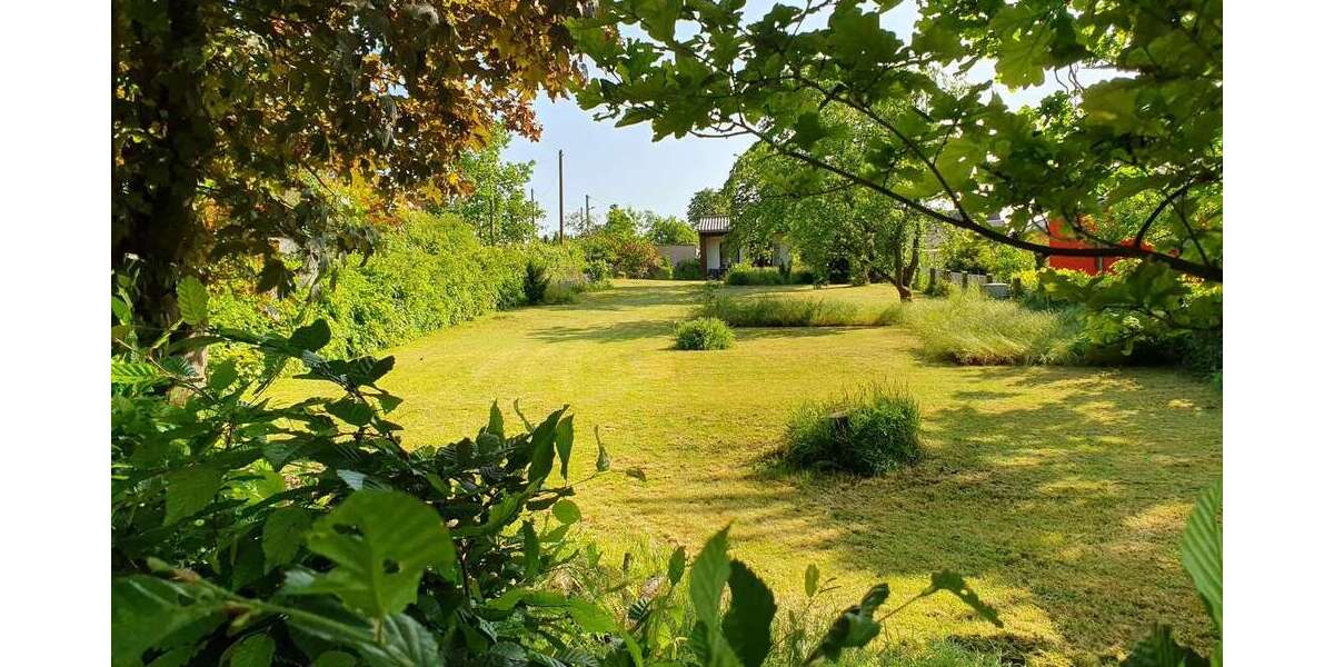 Grundstück zu verkaufen in Grimma 185.000 € 960 m² zimmer