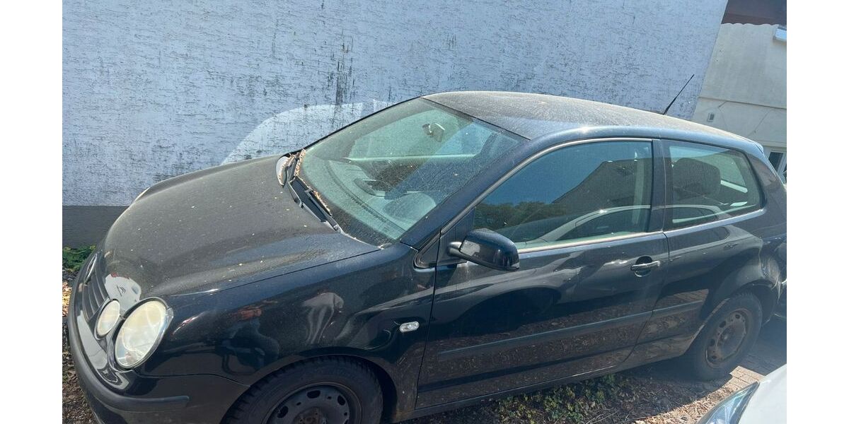 VW Polo 229.827 km 600 &euro; Schutzbach 57520