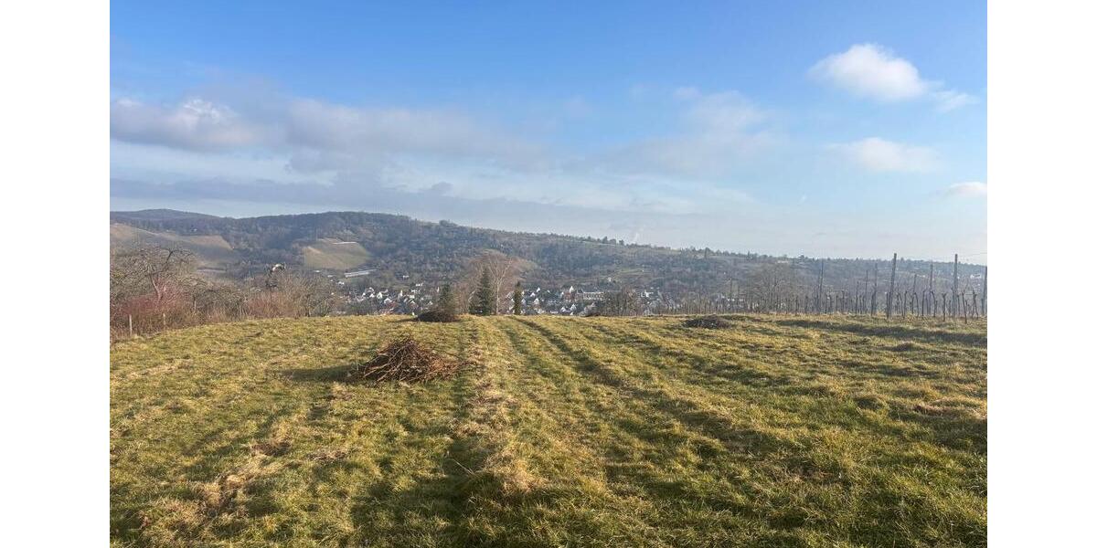Grundstück Stuttgart Luginsland - 180&euro; | Angebot:26555866