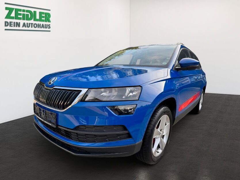 Skoda Karoq 49.250 km 19.950 € Mylau 08499
