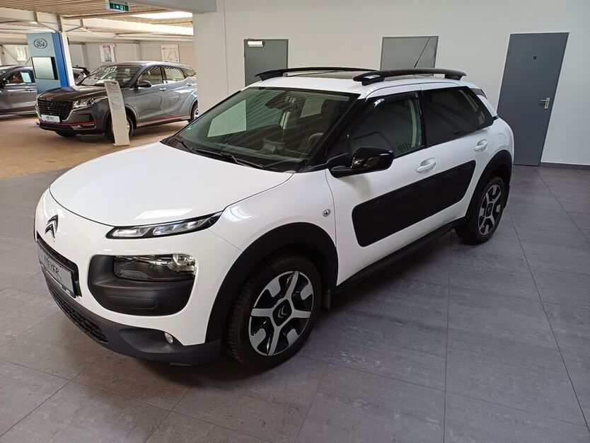C4 Cactus