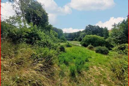 Grundstück zu verkaufen in Krautheim 69.900 € 800 m²