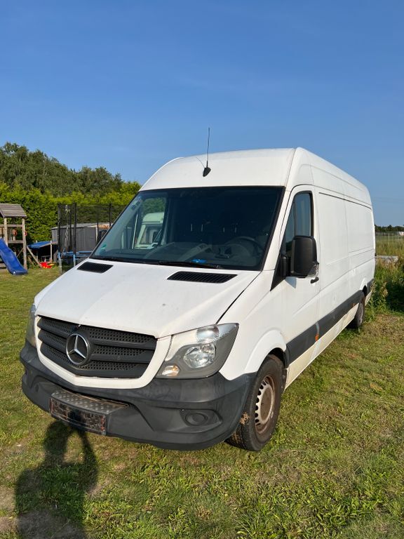 Sprinter