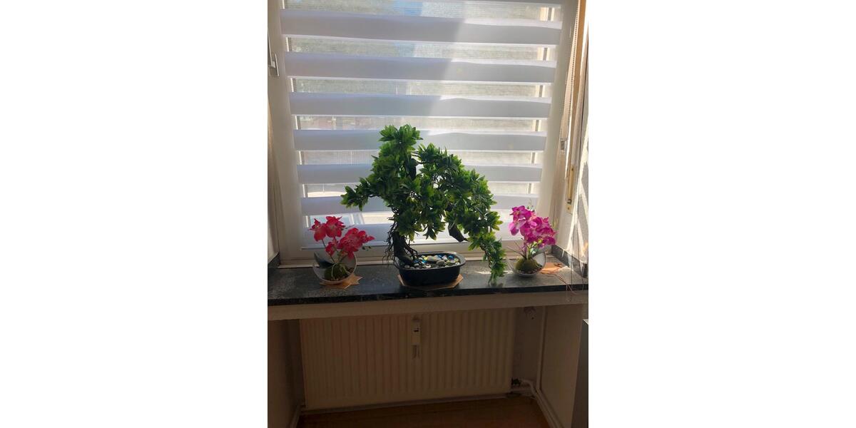 Erdgeschoßwohnung Düsseldorf Derendorf - 2 Zimmer, 45 m&sup2;, 189.000&euro; | Angebot:25943151