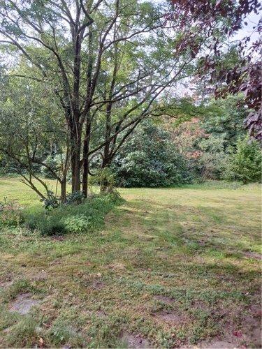 Einfamilienhaus Lüneburg Ebensberg - 880.000&euro; | Angebot:26059792