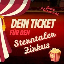 Sterntalerzirkus Schöneck