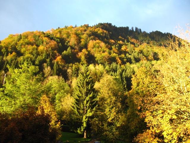 Hochparterre Immenstadt im Allgäu - 3 Zimmer, 60 m&sup2;, 299.000&euro; | Angebot:26619423