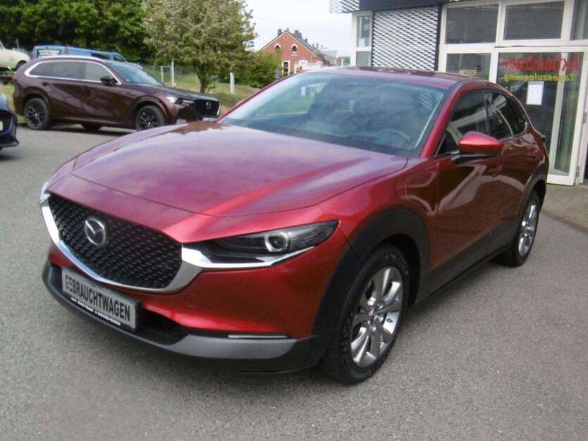CX-30