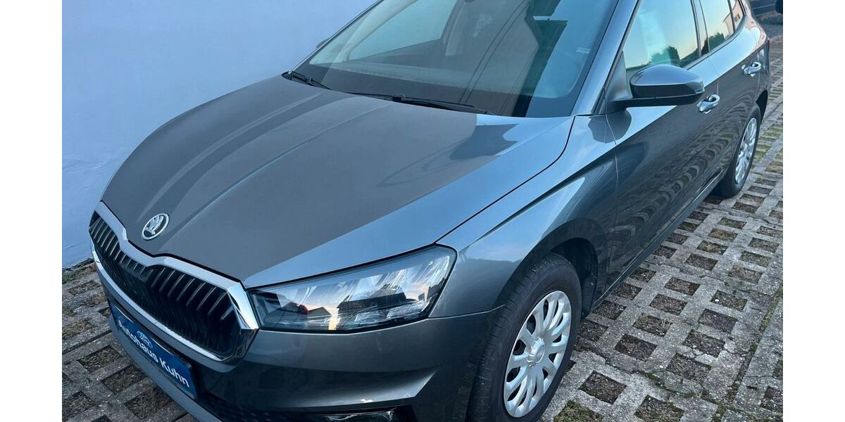 Skoda Fabia 24.595 km 18.690 &euro; Worbis 37339