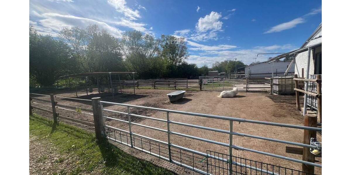 Einfamilienhaus Wiesbaden Biebrich - 1 Zimmer, 290 m&sup2;, 4.500&euro; | Angebot:25912529