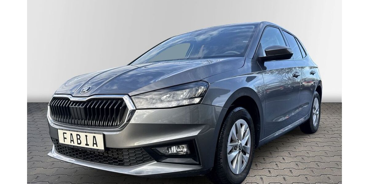 Skoda Fabia 19.991 km 18.990 &euro; Wurzen 04808