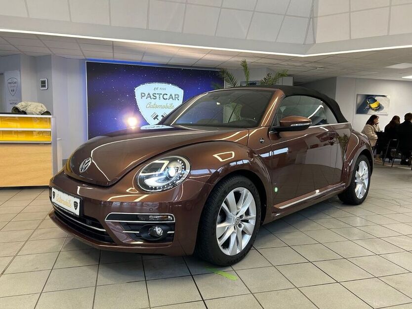 Beetle