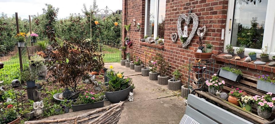 WG-Zimmer-möbliert in großem Haus inmitten einer Apfel-Plantage zimmer