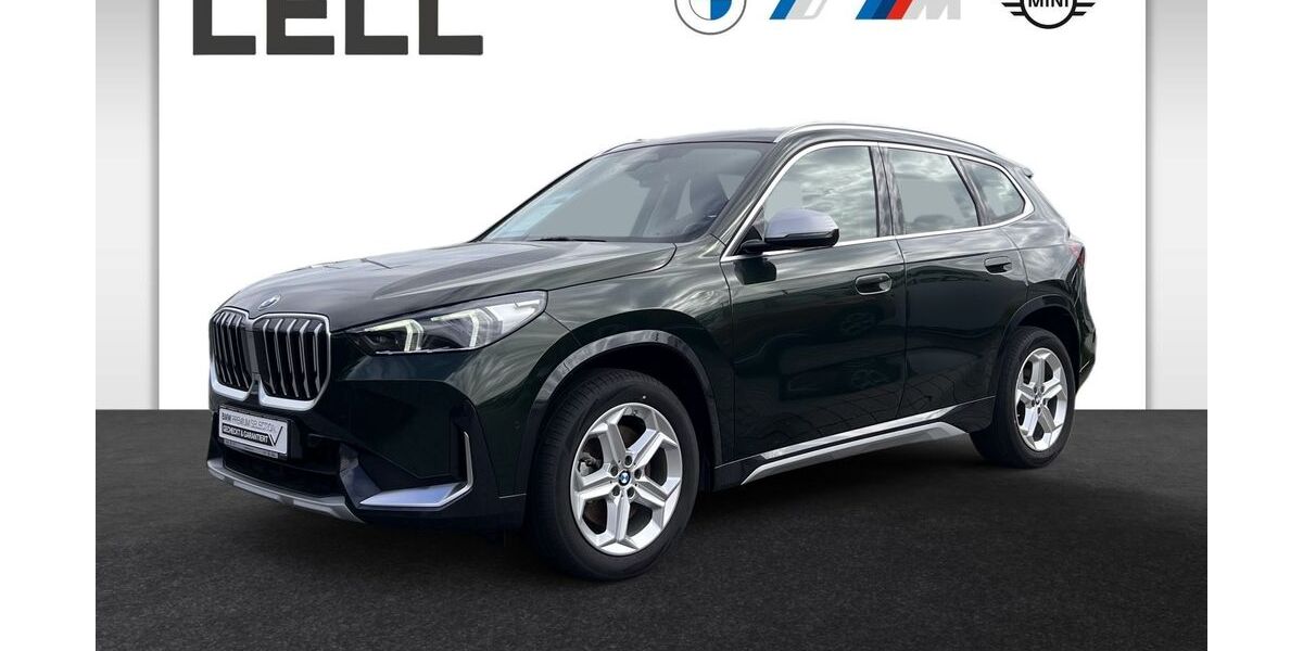 BMW X1 115.474 km 31.750 &euro; Kümmersbruck 92245