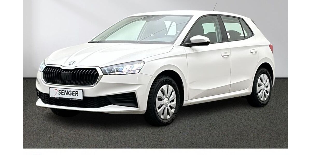 Skoda Fabia 28.300 km 16.980 &euro; Emsdetten 48282