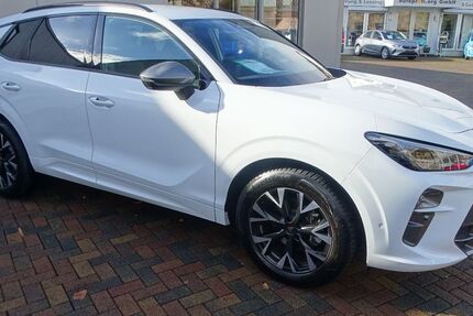 Cupra Terramar 19.256 km 34.750 € Hofgeismar 34369