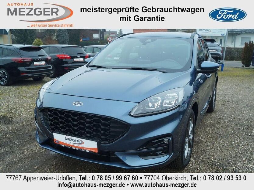 Kuga